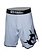 Sinister Brand Sinister Minotauro MMA Freefight Short Zilver Grijs