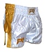PunchR Kickboks Muay Thai Shorts Carbon Wit Goud