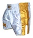 PunchR Kickboks Muay Thai Shorts Carbon Wit Goud