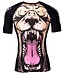 Tatami Fightwear Tatami Chris Burns Lion Rash Guard
