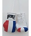 PunchR™  PunchR Mini Carhanger Boxing Gloves Netherlands