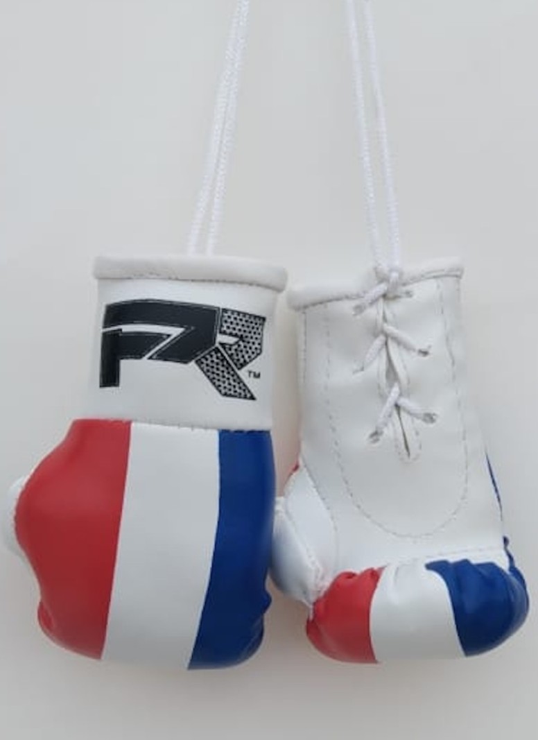 PunchR™  PunchR Mini Carhanger Boxing Gloves Netherlands