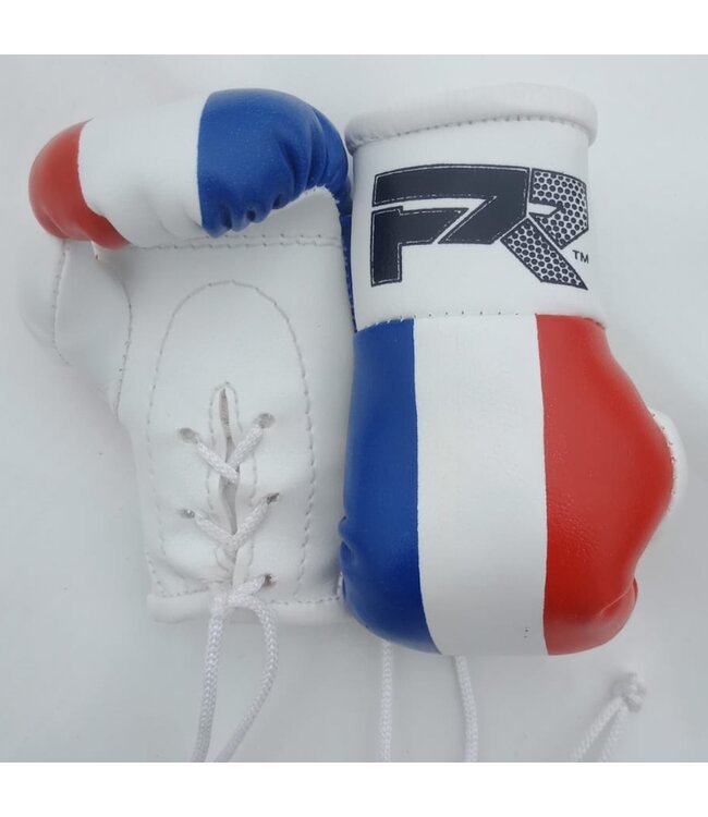 PunchR™  PunchR Mini Carhanger Boxing Gloves Netherlands