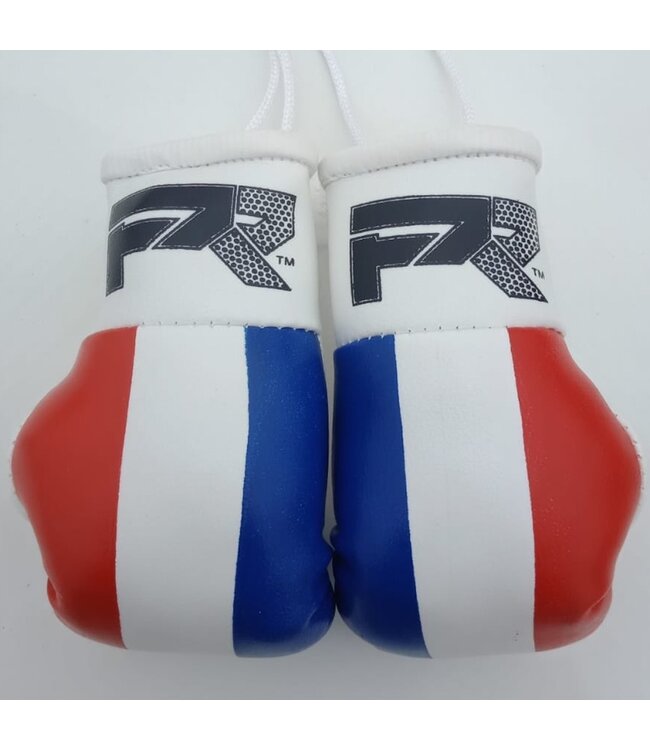 PunchR™  PunchR Mini Carhanger Boxing Gloves Netherlands