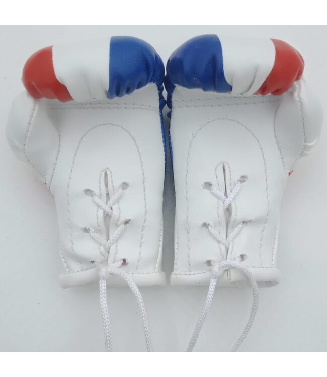 PunchR™  PunchR Mini Carhanger Boxing Gloves Netherlands