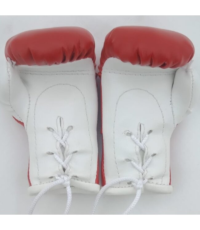 PunchR Mini Carhanger Boxing Gloves Morocco