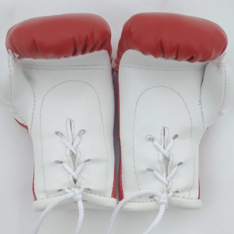 PunchR™  PunchR Mini Carhanger Boxing Gloves Morocco