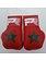 PunchR™  PunchR Mini Carhanger Boxhandschuhe Marokko