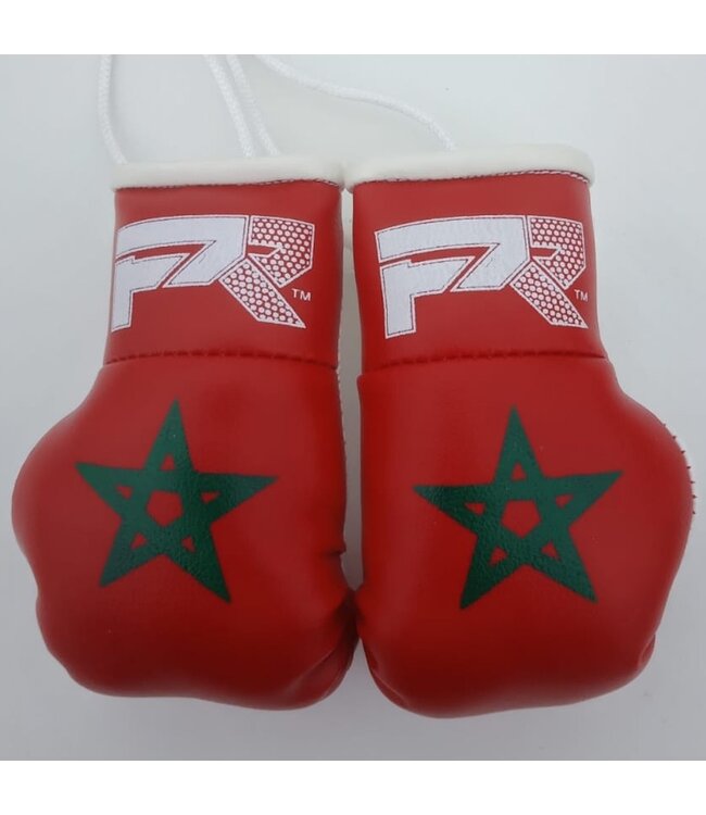 PunchR™  PunchR Mini Carhanger Boxing Gloves Morocco