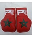 PunchR™  PunchR Mini Carhanger Boxhandschuhe Marokko