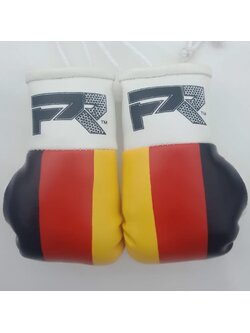 PunchR™  PunchR Mini Carhanger Boxhandschuhe Deutschland