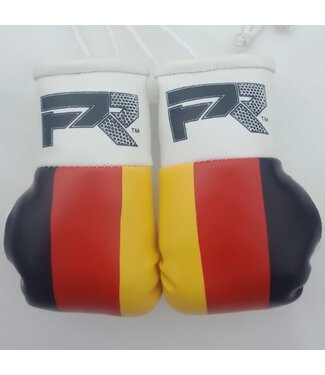 PunchR™  PunchR Mini Carhanger Boxhandschuhe Deutschland