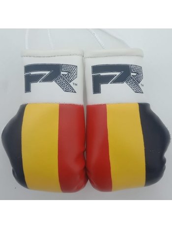 PunchR™  PunchR Mini Carhanger Boxhandschuhe Belgien