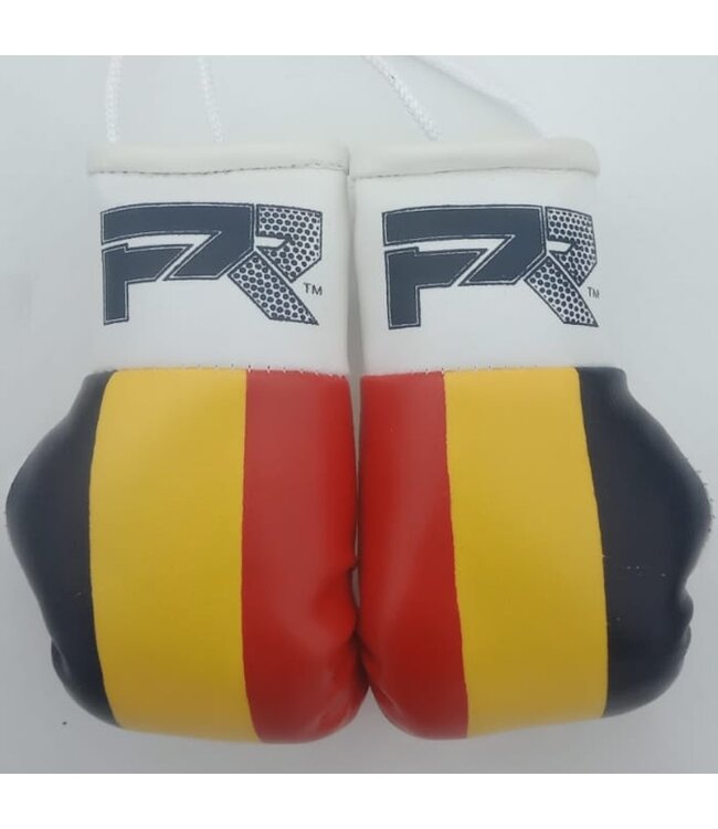 PunchR™  PunchR Mini Carhanger Boxing Gloves Belgium