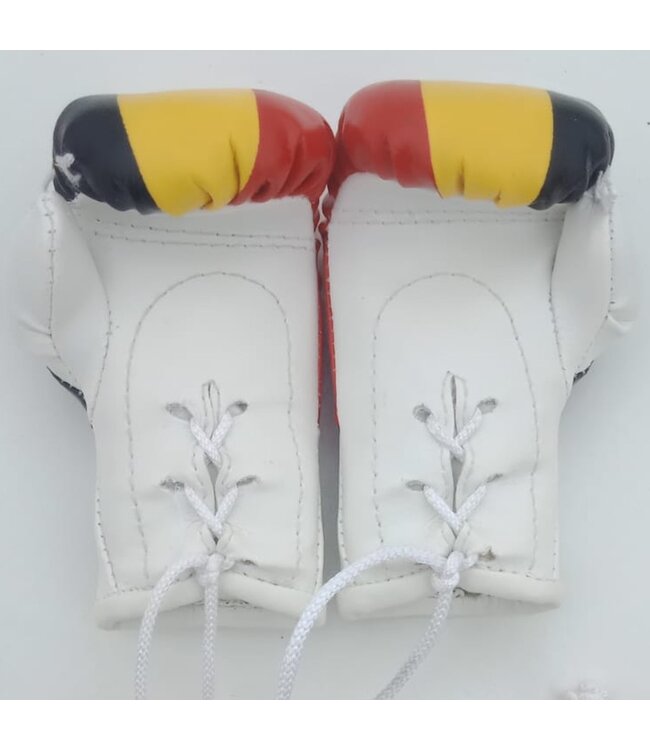 PunchR Mini Carhanger Boxing Gloves Belgium