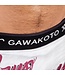 Gawakoto MANO Y MANO Vale Tudo Fightshort