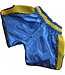 Booster Muay Thai Shorts TBT Pro 4.20 Blau Gelb Kickbox Hose