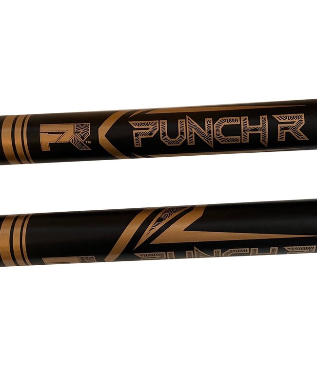 PunchR™ Electric Trainings sticks Schwarz Gold