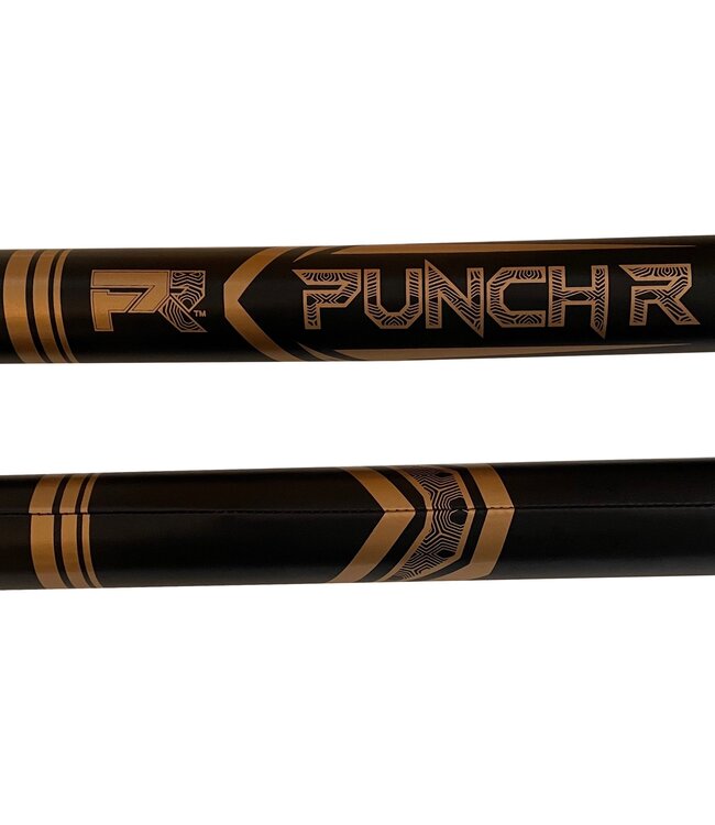 PunchR™ Training Sticks Black Gold
