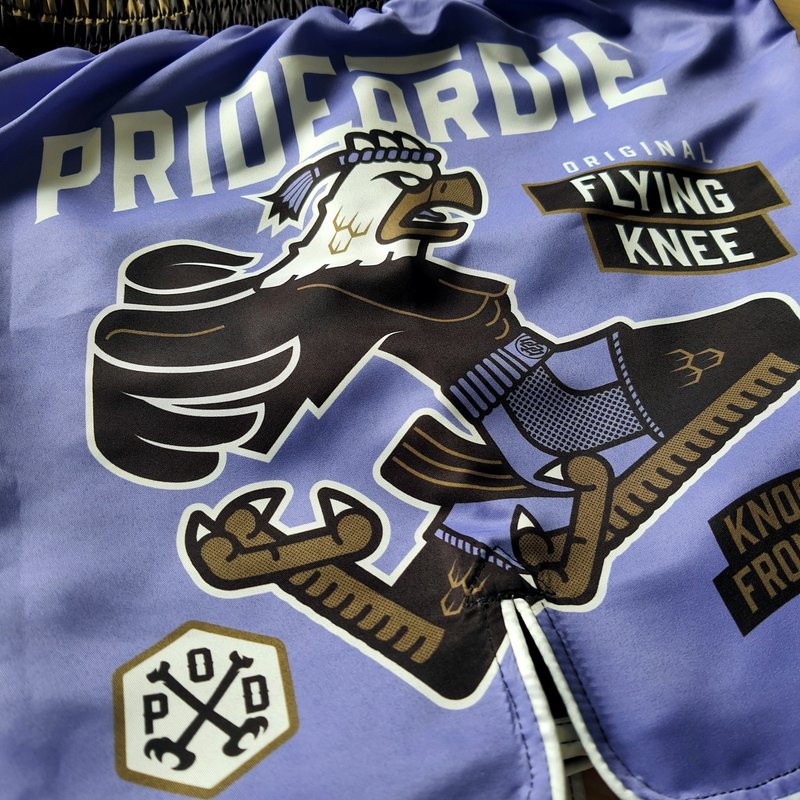 Pride or Die Pride or Die Flying Knee Fightshorts Lila Kampfsporthose