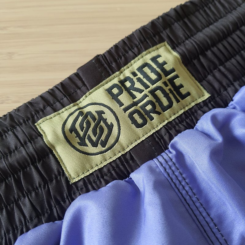 Pride or Die Pride or Die Flying Knee Fightshorts Paars Vechtsportbroek