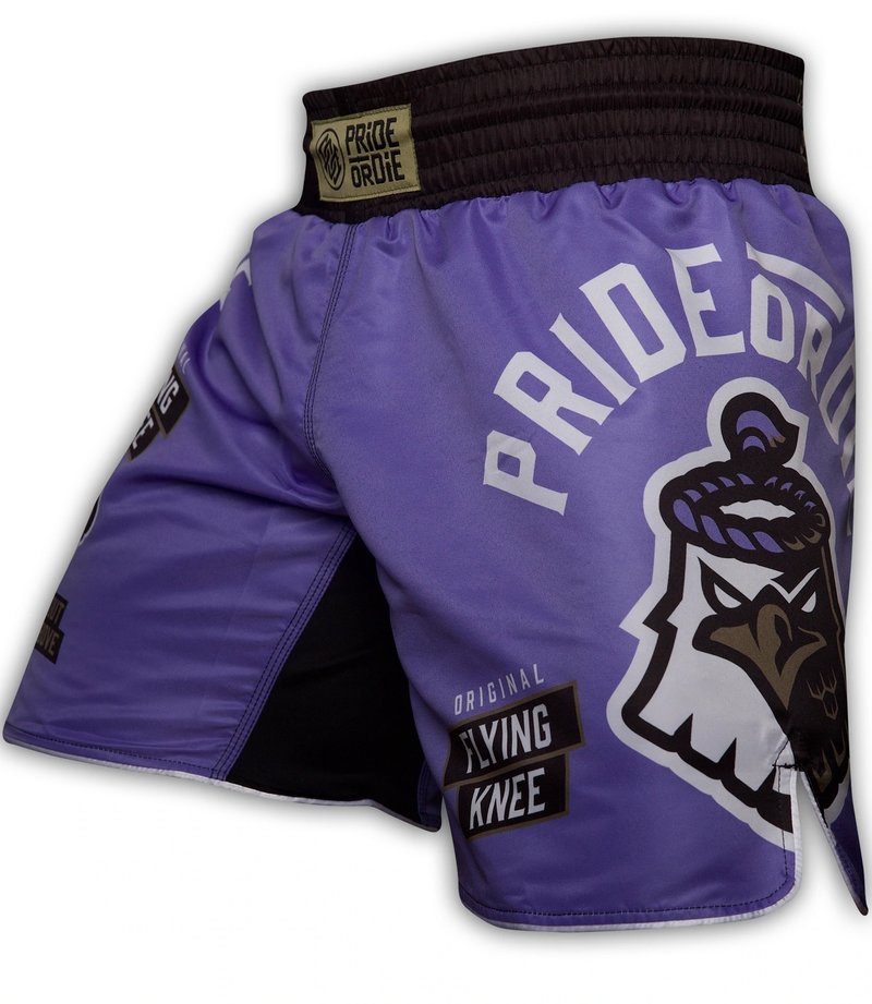 Pride or Die PRIDE or DIE Flying Knee Fight Shorts Purple