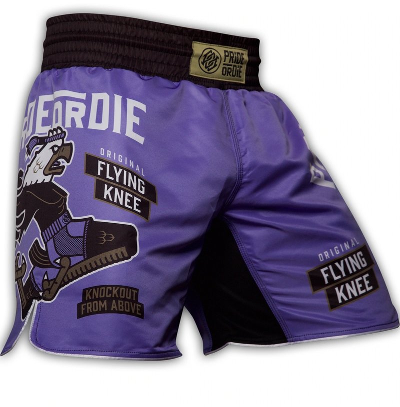 Pride or Die PRIDE or DIE Flying Knee Fight Shorts Purple