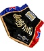 Fluory Muay Thai Shorts Kickboxen Höse Schwarz MTSF08