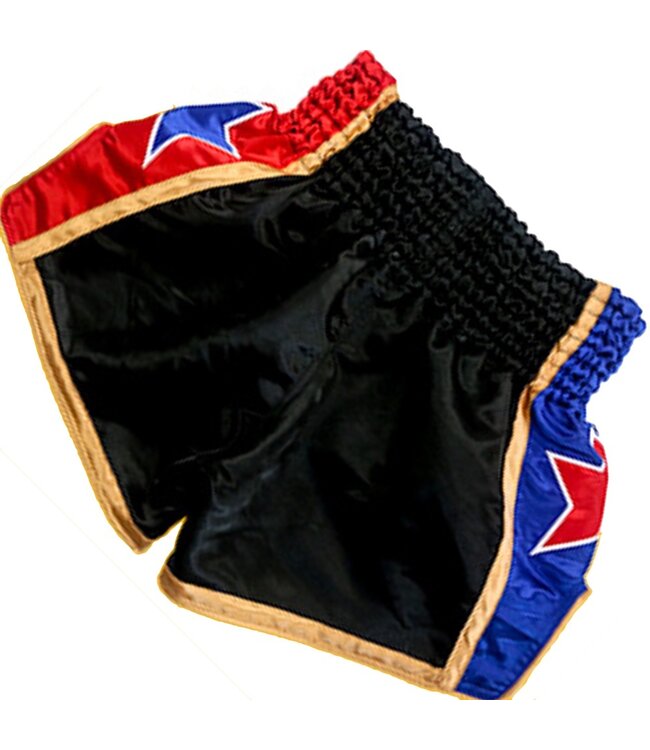 Fluory Muay Thai Shorts Kickboxen Höse Schwarz MTSF08