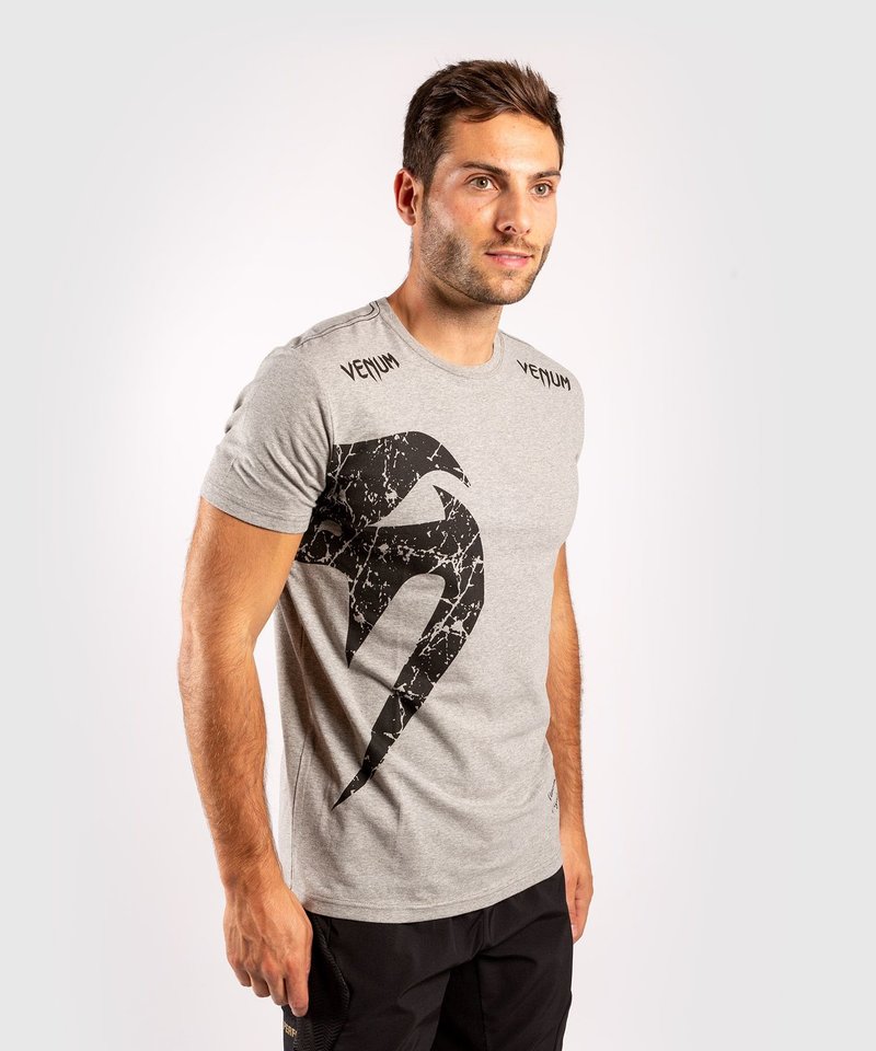 Venum Venum T Shirt Giant Grau Kampfsport Kleidung