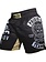 Pride or Die PRiDE or DiE Team Baki Fightshort Black