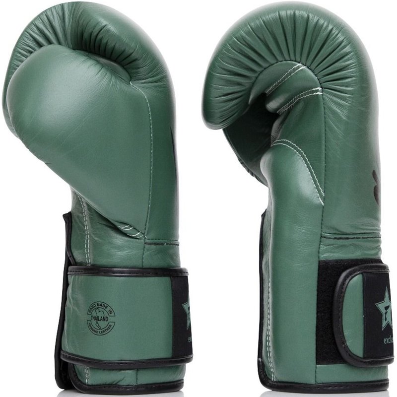 Fairtex Fairtex Booster FXB Leather Boxing Gloves Green