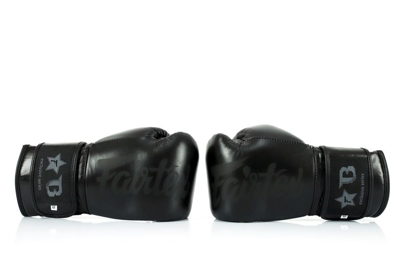 Fairtex Fairtex Booster FXB Leren Kickboks Handschoenen Zwart