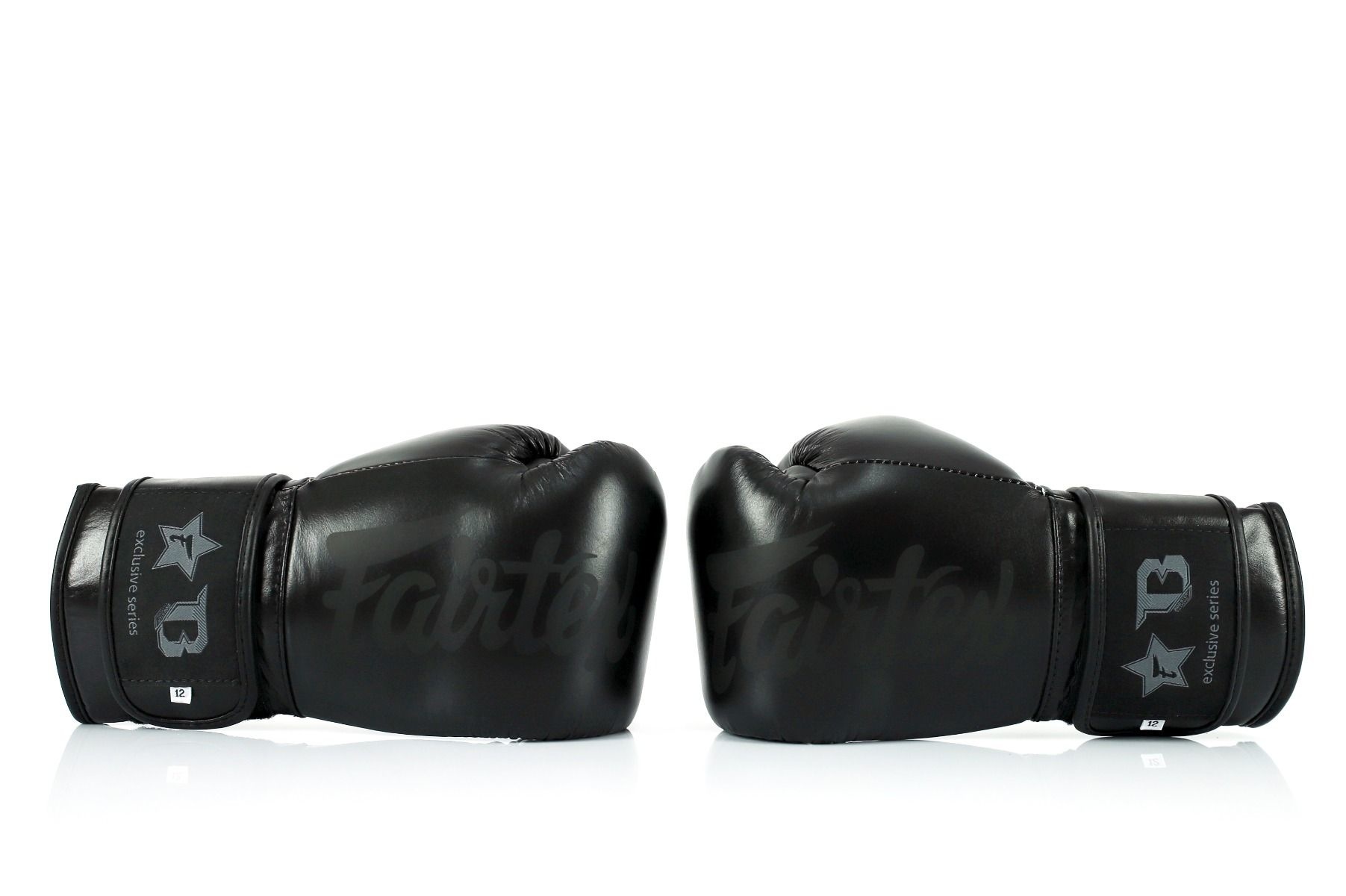 Fairtex Booster FXB Leather Boxing Gloves Black FIGHTWEAR SHOP EUROPE