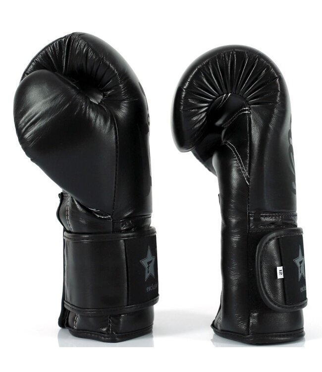 Fairtex x Booster FXB Boxhandschuhe Schwarz/Schwarz - Muay Thai & Kickboxen
