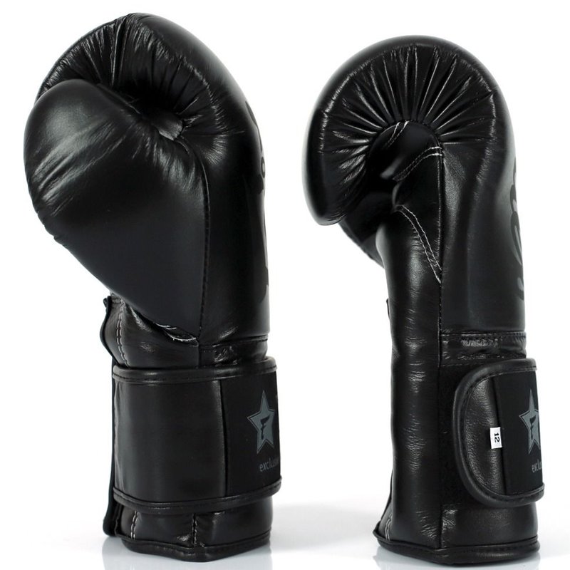 Fairtex Fairtex Booster FXB Leather Boxing Gloves Black