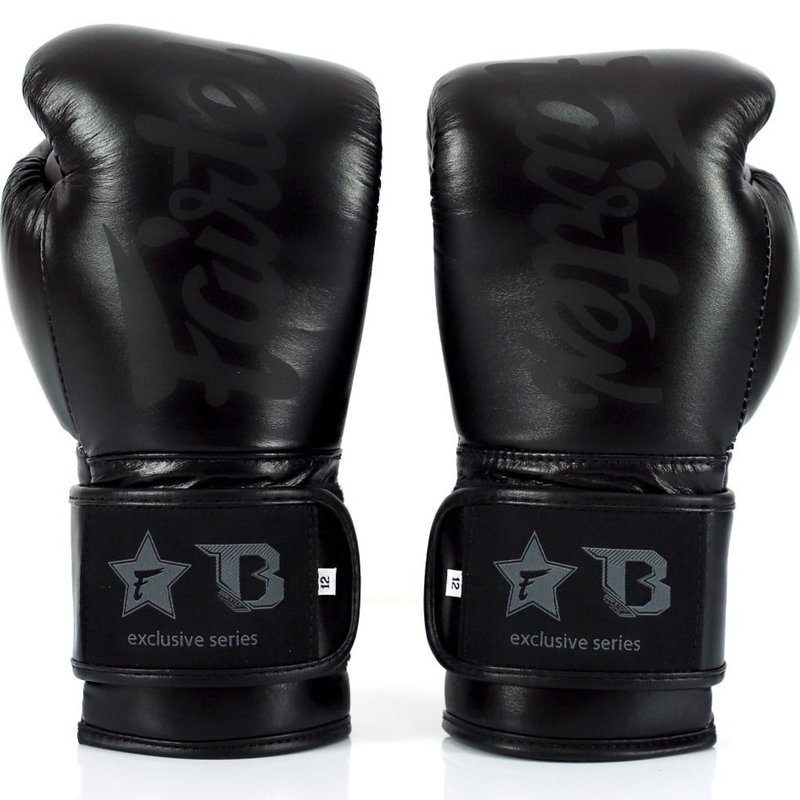 Fairtex Fairtex Booster FXB Leather Boxing Gloves Black