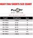 Fluory Fluory Muay Thai Short Kickboxing Short Black Silver MTSF51