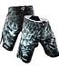 Punch Town Frakas eX Ryushin Fight Shorts