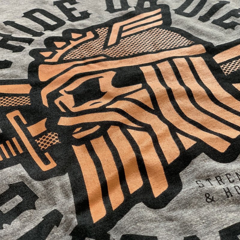 Pride or Die PRIDEorDie T-Shirt BARBARIANS Grau