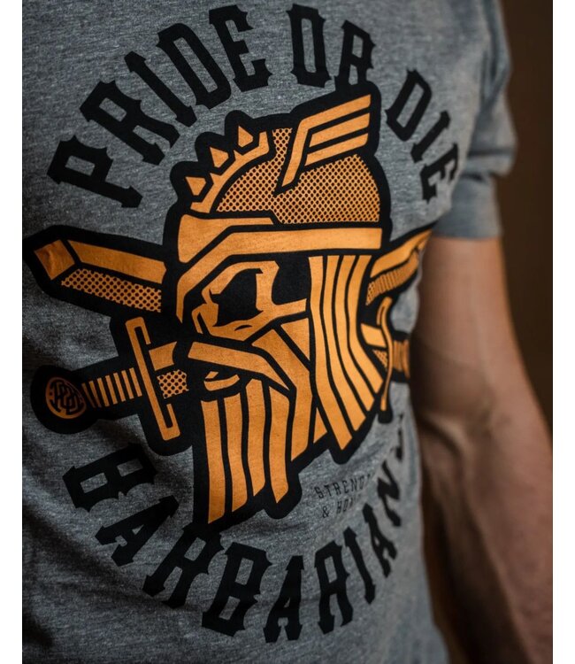 PRIDEorDie T-Shirt BARBARIANS Grey