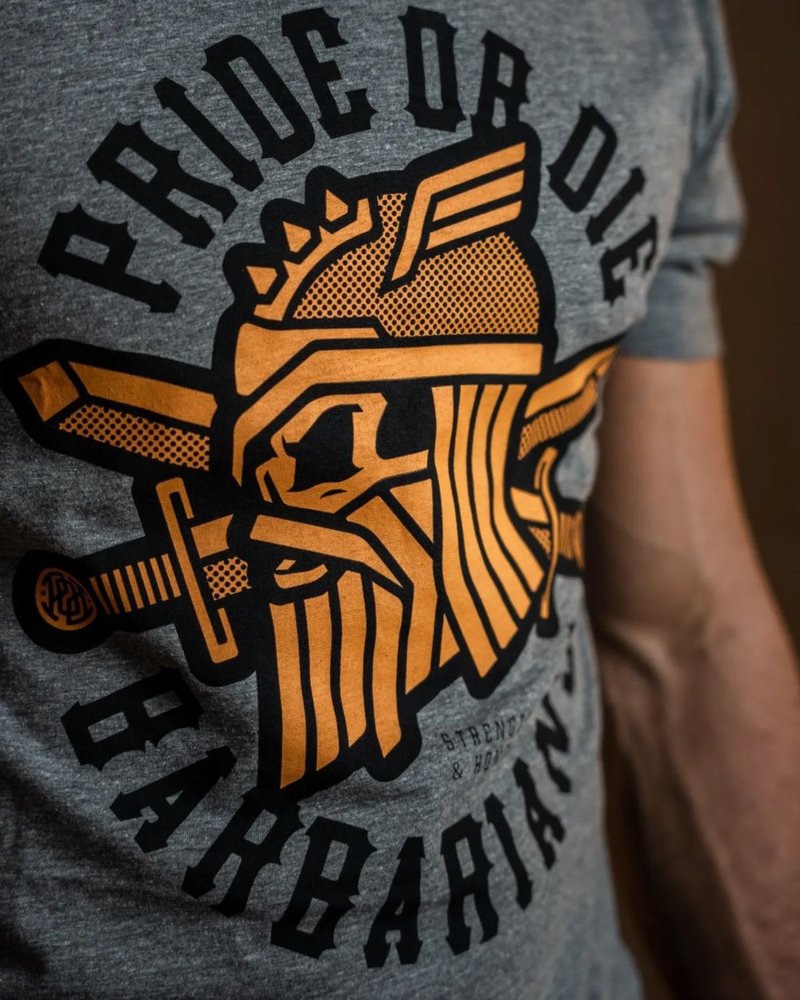 Pride or Die PRIDEorDie T-Shirt BARBARIANS Grau