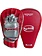 PunchR™  PunchR™ Long Curved Pro Style Focus Mitts Red Silver