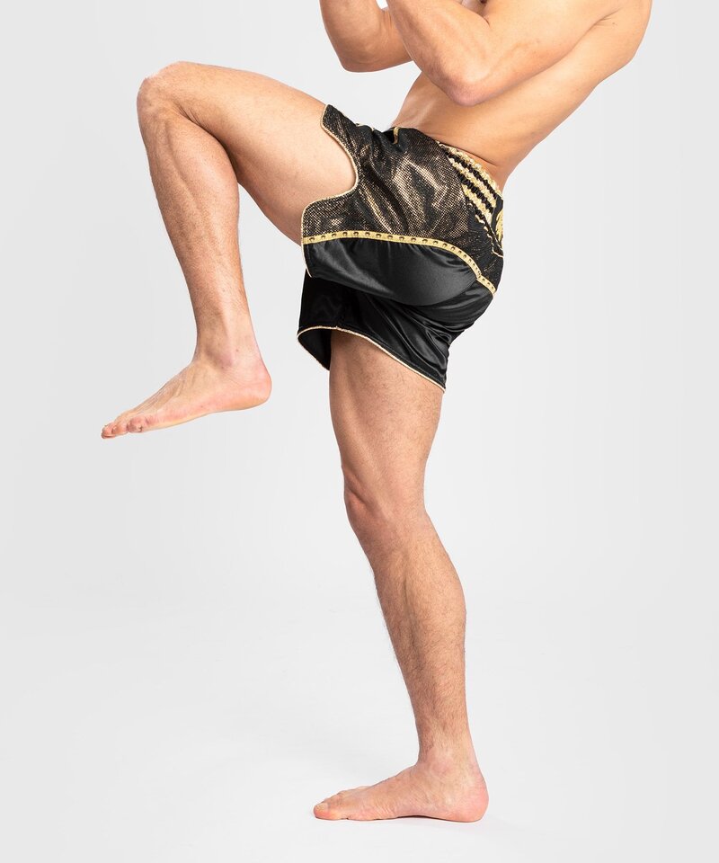 Venum Venum Absolute 2.0 Muay Thai Shorts Black Gold