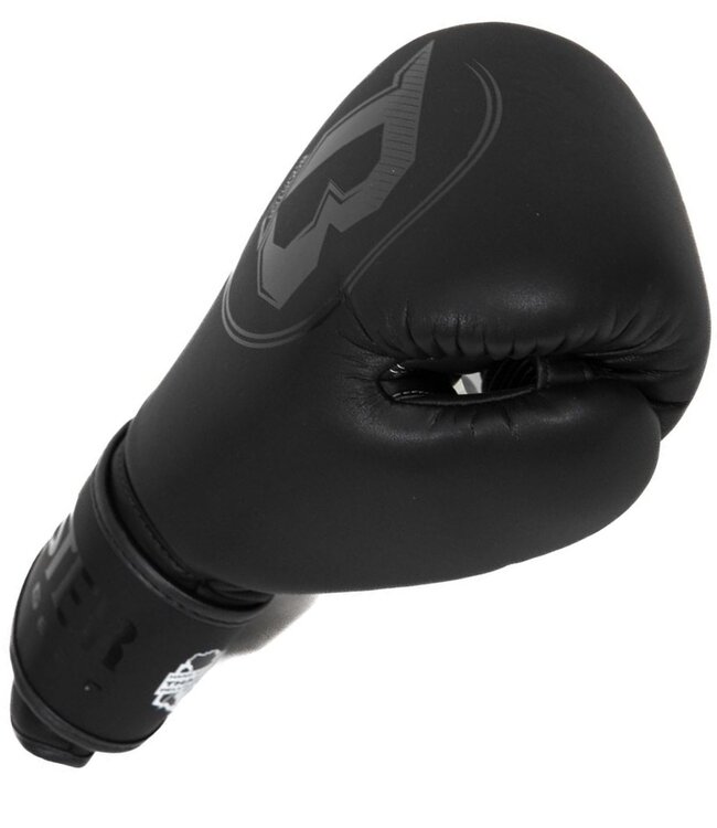 Booster PRO/BGL-VX 1 (Kick)Bokshandschoenen Zwart Zwart