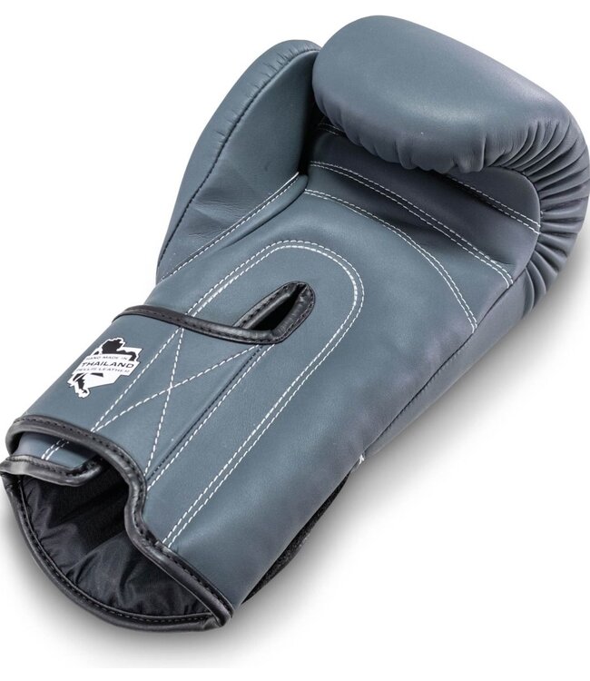 Booster PRO/BGL-VX2 Muay Thai Boxing Gloves Blue