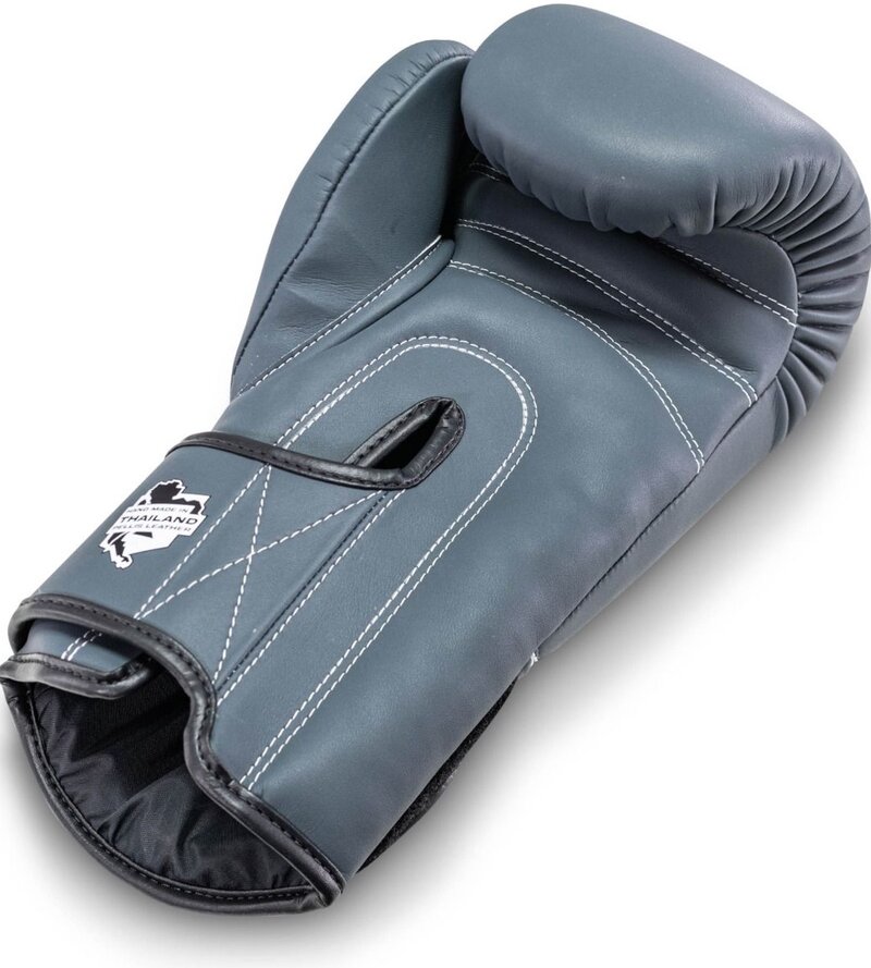 Booster Booster PRO/BGL-VX2 Muay Thai Boxhandschuhe Blau