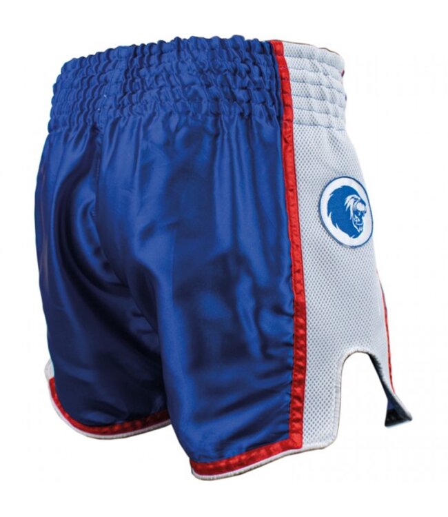 Super Pro Super Pro Muay Thai Kickboxhose Streifen Blau Weiß