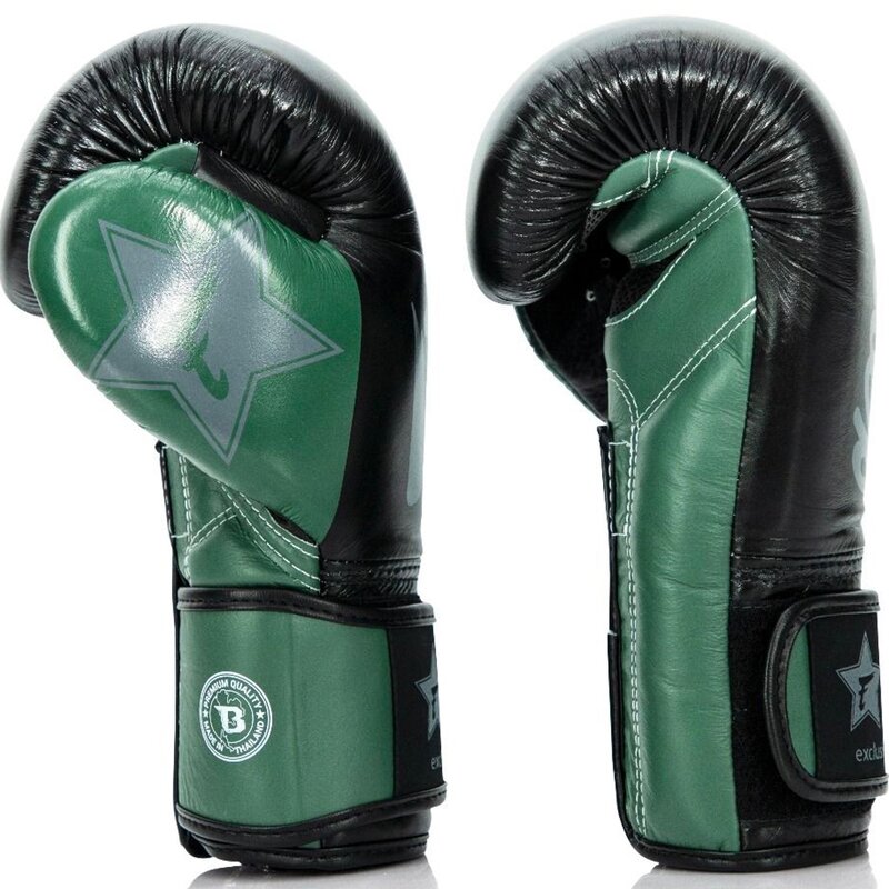 Fairtex Fairtex x Booster Boxhandschuhe FXB BG V2 Schwarz Grün