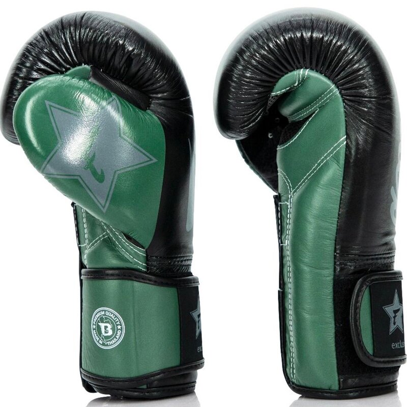 Fairtex Fairtex x Booster Boxing Gloves FXB BG V2 Black Green